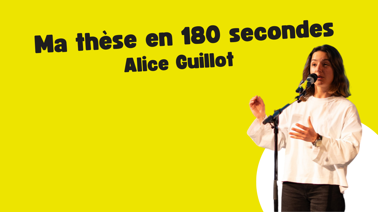 Miniature Alice Guillot