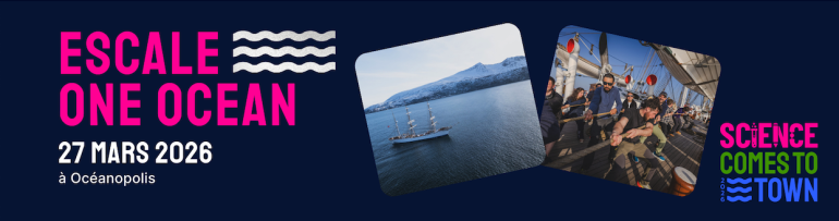 Escale One Ocean