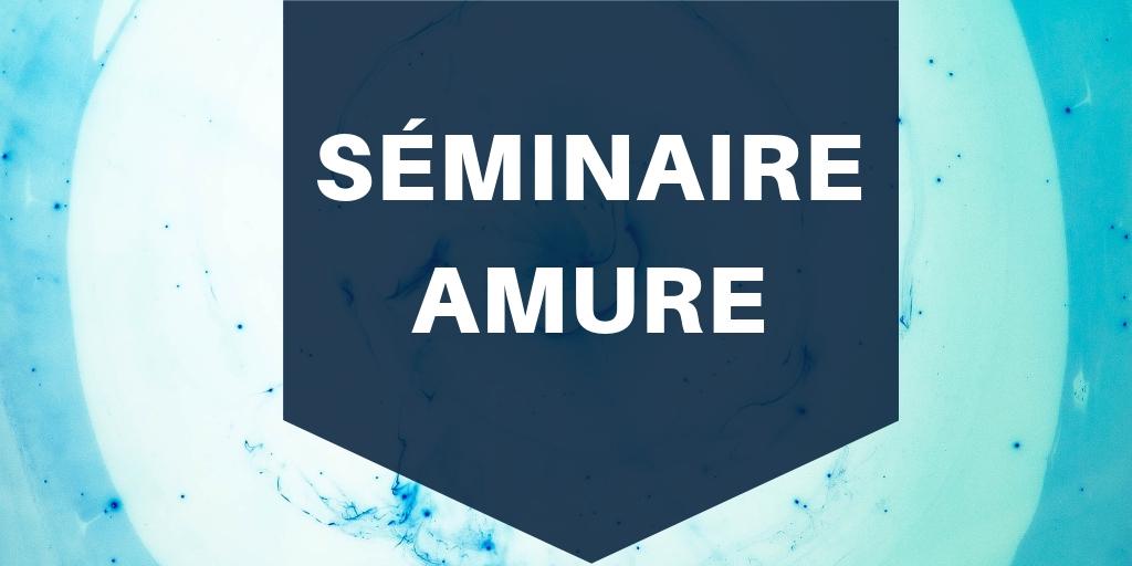 seminaire amure